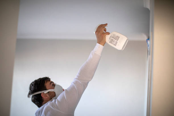 Certified Mold Removal in Emerald Isle, NC