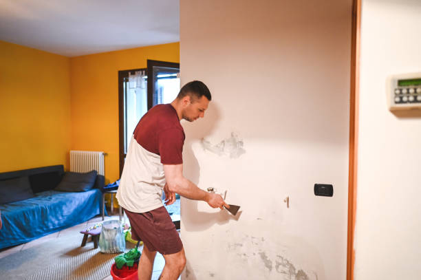 Best Toxic Mold Removal  in Emerald Isle, NC
